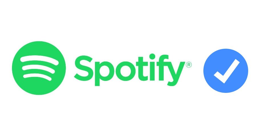 how to access spotify top artists